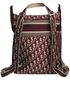 Christian Dior Oblique Backpack, back view